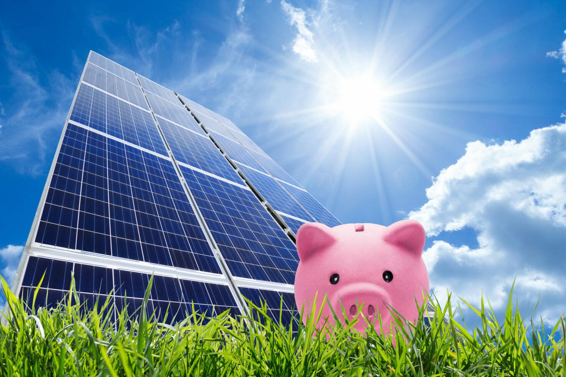 Solar Piggy Bank